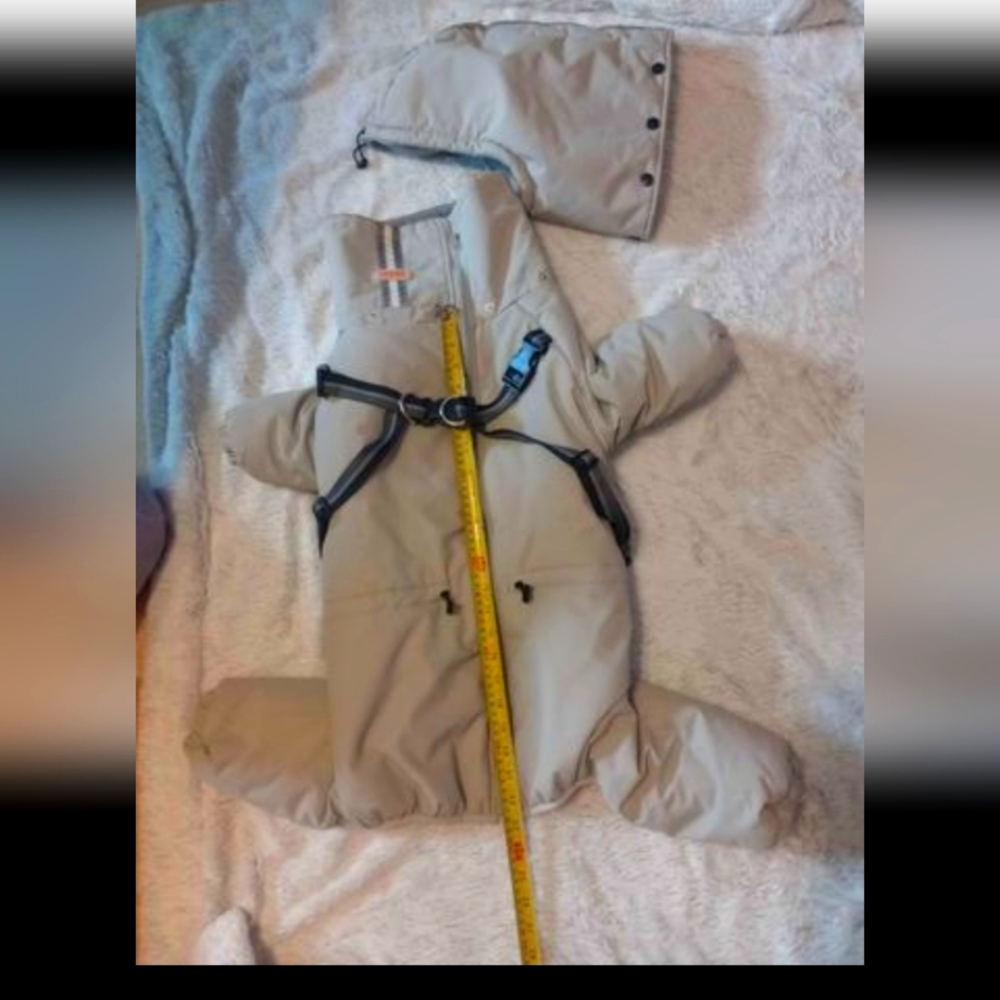 dog snow suit .